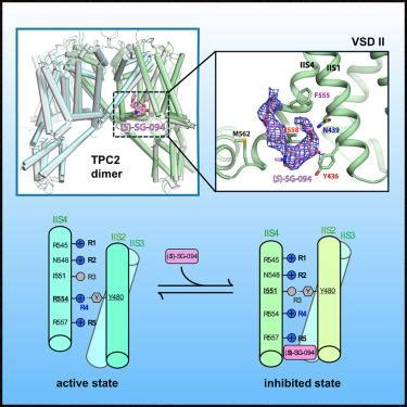 Structural basis for inhibition of the lysosomal two.